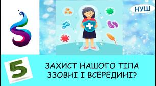Захист нашого тіла ззовні і всередині