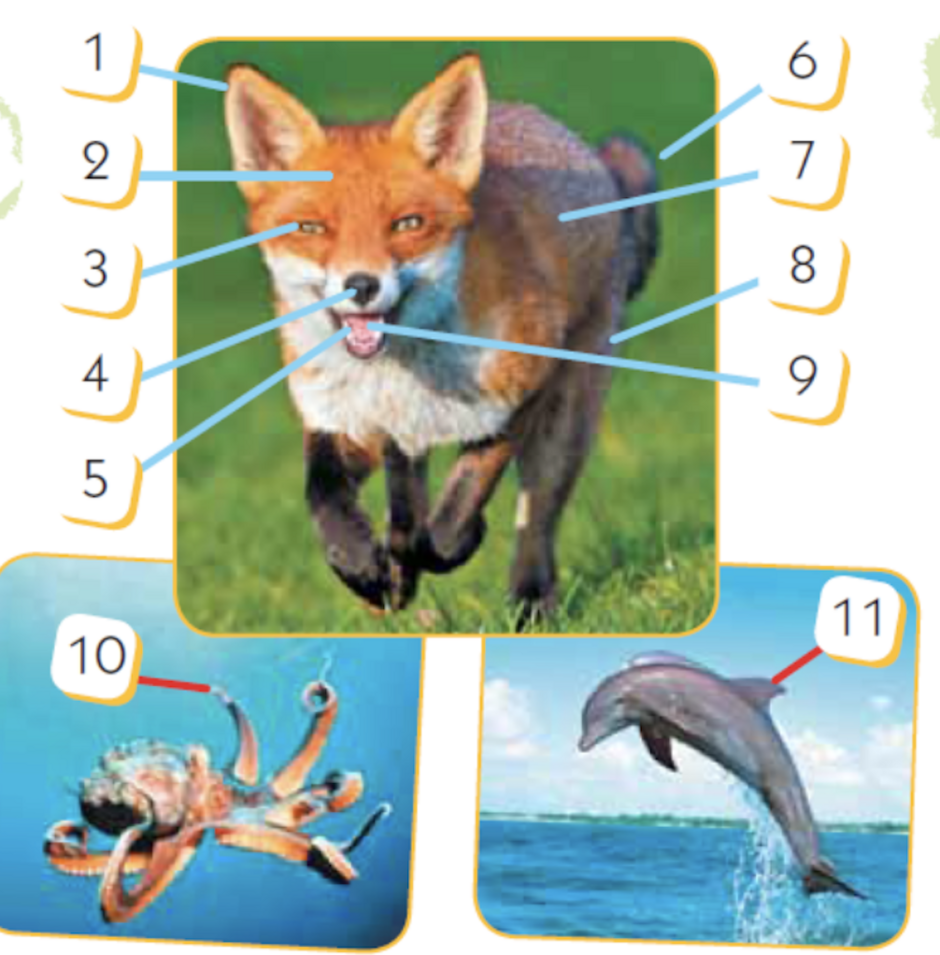 0402q2jw-63c5-940x955.png