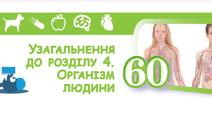  Контрольна  робота за темою "Узагальнення до розділу "Організм людини"