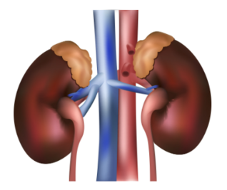 0402q353-e4e1-318x267.png