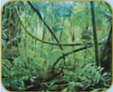 0402q37w-245c-368x300.png