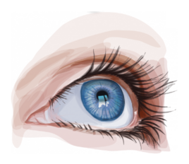 0402q39y-7513-268x232.png