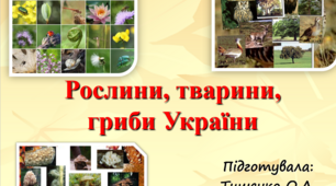 Презентація "Рослини, тварини і гриби України"