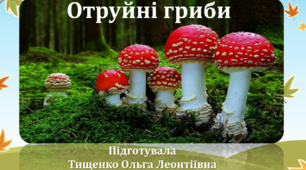 Презентація на тему  "Отруйні гриби"