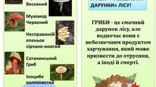 Буклет "Пам'ятка безпеки. Гриби"