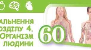 Організм людини. Узагальнення