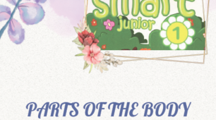 Флешкартки на тему "Body parts" до підручника "Smart Junior 1"