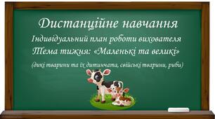Індивідуальний план роботи вихователя.Тема тижня "Маленькі та великі"