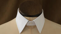 The Gentlemen's Guide to Shirt Collars – Robb Report