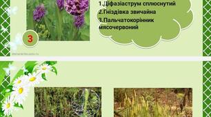 Презентація "Червона книга Полісся"