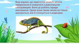 Презентація "Цікаві факти про плазунів"