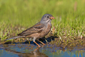 0402qhfg-7e71-300x200.jpg