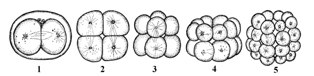 0402qhh7-cdd7-648x158.png