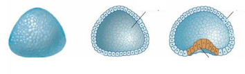 0402qhlr-54dd-436x132.png