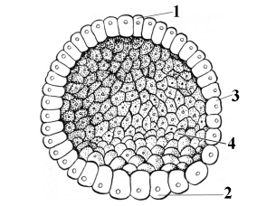 0402qhof-6a07-305x228.png
