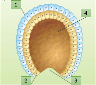 0402qhwt-ec73-309x275.png