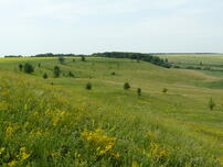 0402qi01-0695-202x152.jpg