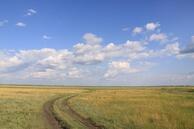 0402qi0j-05a9-194x129.jpg