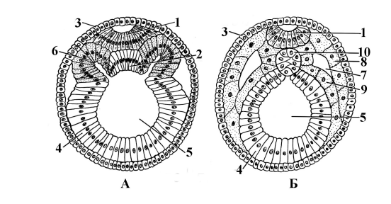 0402qi2m-5598-552x288.png