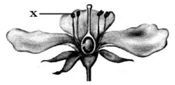 0402qin4-ae85-350x171.png