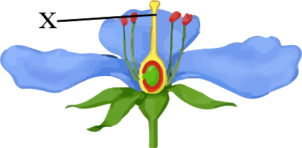 0402qini-7f09-427x210.png