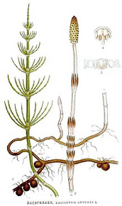 0402qir9-f092-220x372.png
