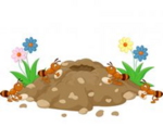 0402qj7y-7070-150x117.png