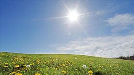 Lovely, sunny day with temperatures reaching 22 | Westmeath Independent