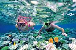 Snorkelling in Mahe - 9 Spots For Marine Exploration in 2023