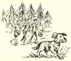 0402qmgb-6429-241x209.jpg