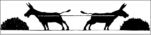 0402qmtf-1388-500x118.png