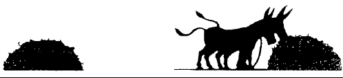 0402qmw9-9162-498x114.png