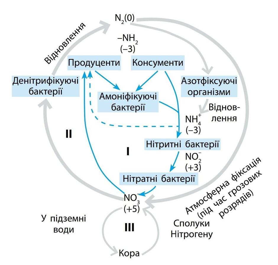 0402qn0j-019d-940x896.jpg