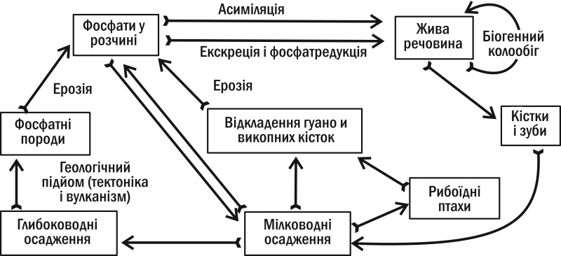 0402qn0n-6df2-800x366.png