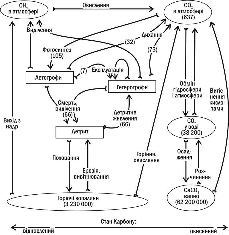 0402qn0u-db49-800x821.png