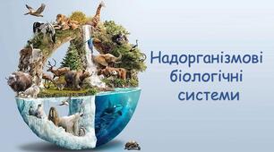 Надорганізмові біологічні системи