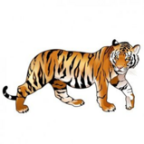 0402qn5v-e5c5-159x159.png