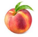 Peaches - Bill's Berry Farm