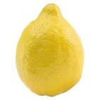 Sainsbury's Lemons | Sainsbury's