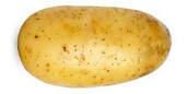 Potato | alimentarium