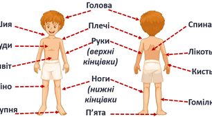 5 клас (сімейне навчання). Контрольна робота №4.
