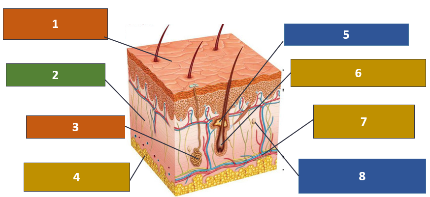 0402qu8v-b61d-873x401.png