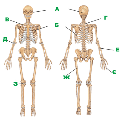 0402quf1-6615-406x392.png