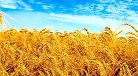 Майбутній час дієслова