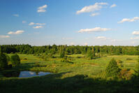 0402r2dp-ef88-199x133.jpg