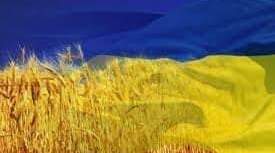 А ми, попри війну й болючі втрати