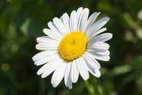 0402r7ua-5646-205x137.jpg