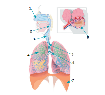 0402rbhb-62c0-422x380.png