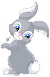0402rc64-0bba-173x263.png