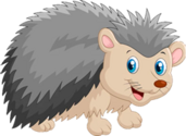0402rc72-56a8-171x125.png